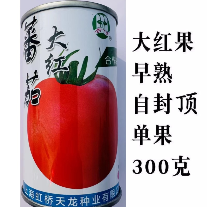 正宗上海番茄种子本地大红果西红柿种子有机大果番茄种籽酸酸