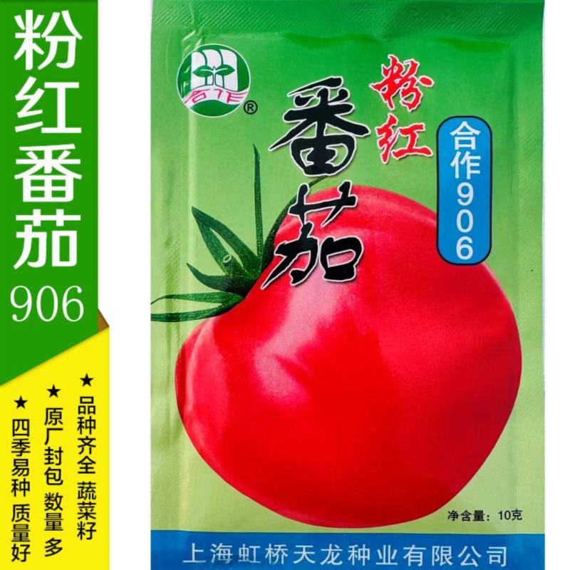 正宗上海合作906番茄种子老品种西红柿种子粉红番茄种子有