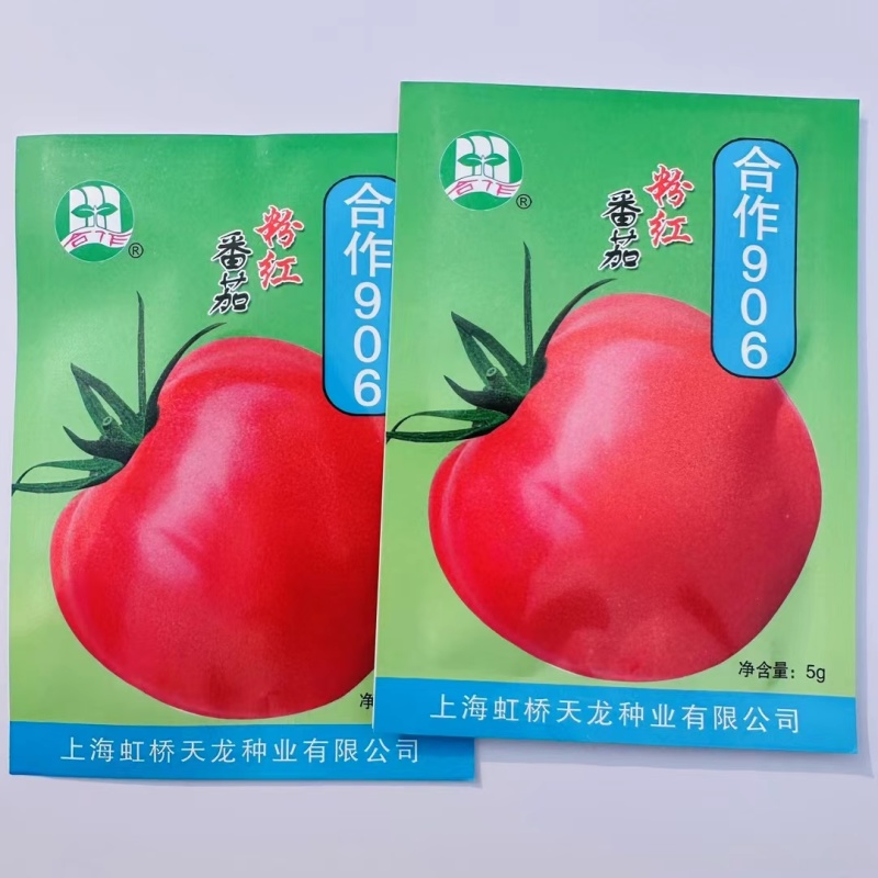 正宗上海合作906番茄种子老品种西红柿种子粉红番茄种子有