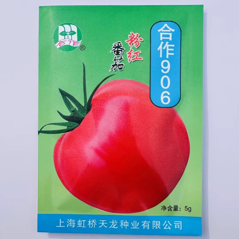 正宗上海合作906番茄种子老品种西红柿种子粉红番茄种子有