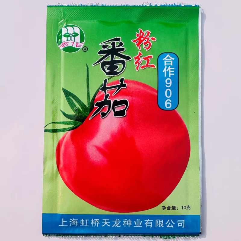 正宗上海合作906番茄种子老品种西红柿种子粉红番茄种子有