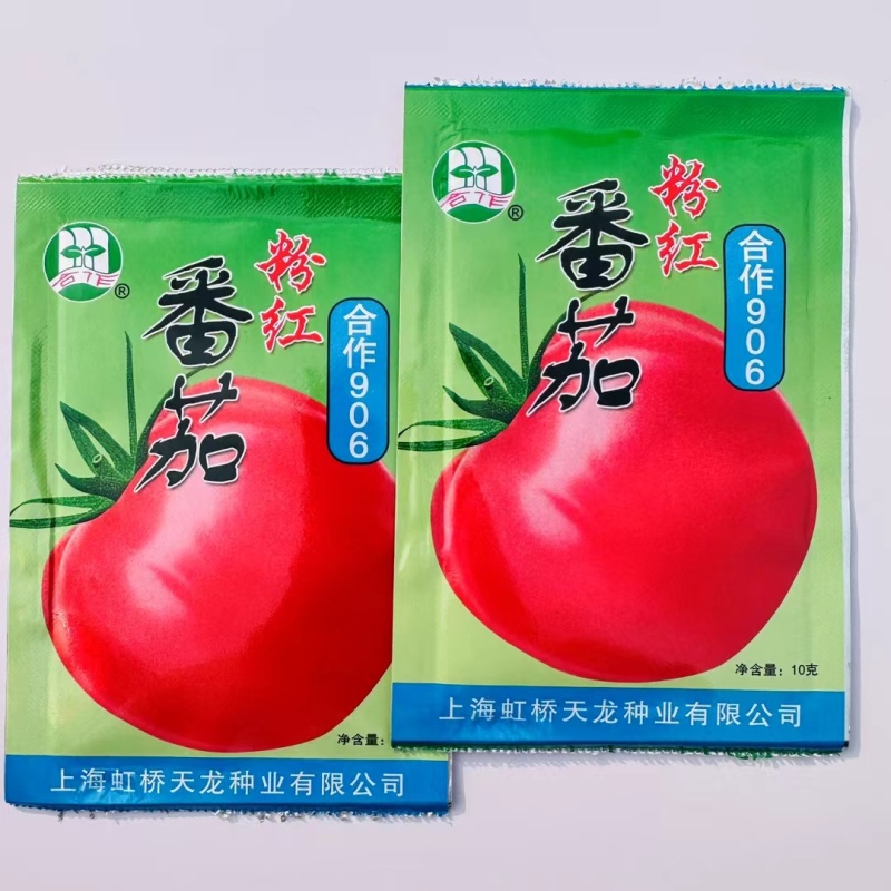 正宗上海合作906番茄种子老品种西红柿种子粉红番茄种子有