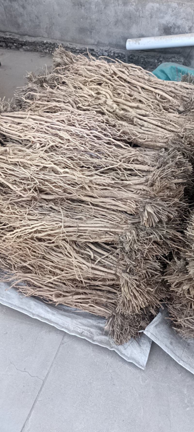 甘肃地产防风通货，保质保量，产地直销，量大从优，物美价廉