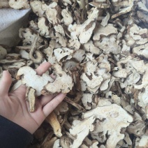 新货白术到货祥泰药材栈中药材批发零售实物拍摄量多从优欢
