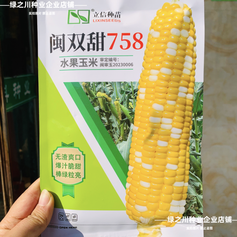 爆汁脆甜水果玉米种子无渣生吃特甜双色水果玉米种子棒绿粒亮