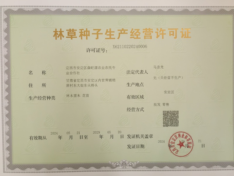 沙棘种子，沙棘种子发芽率高，甘肃沙棘种子
