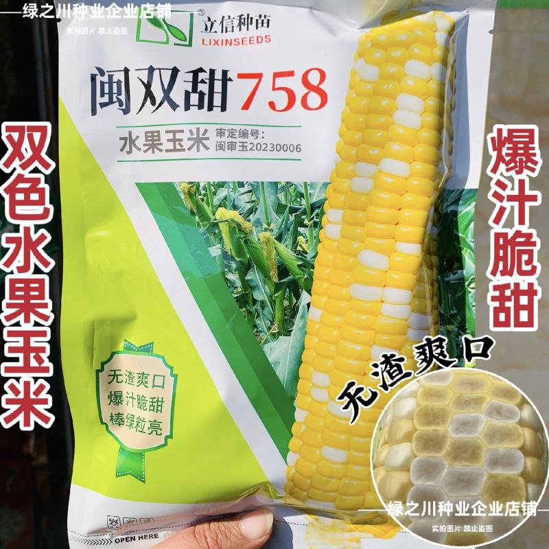 特甜水果玉米种子生吃脆甜无渣闽双甜758双色甜玉米种子