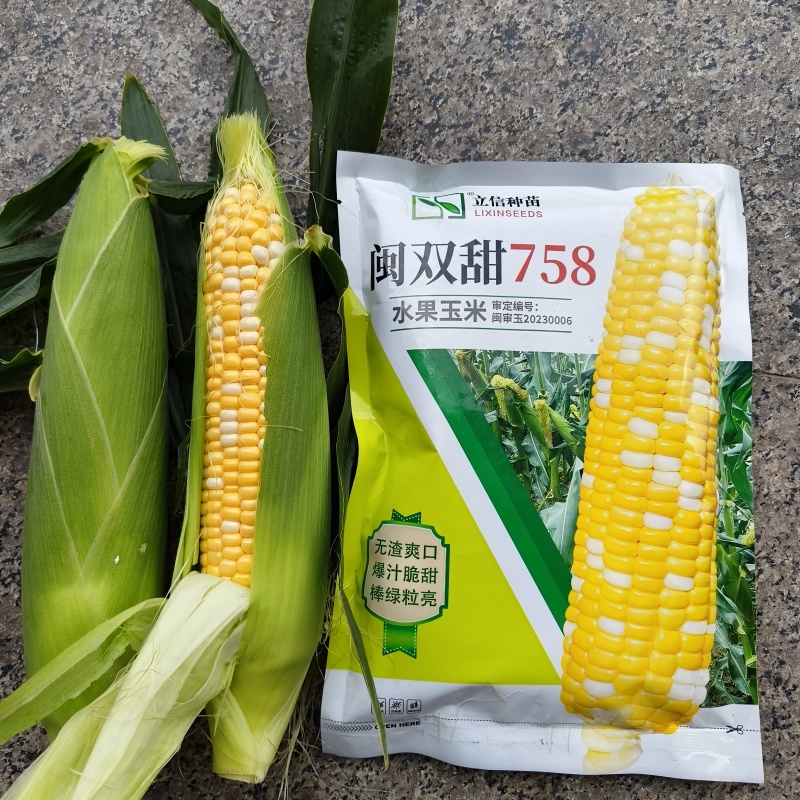 特甜水果玉米种子生吃脆甜无渣闽双甜758双色甜玉米种子