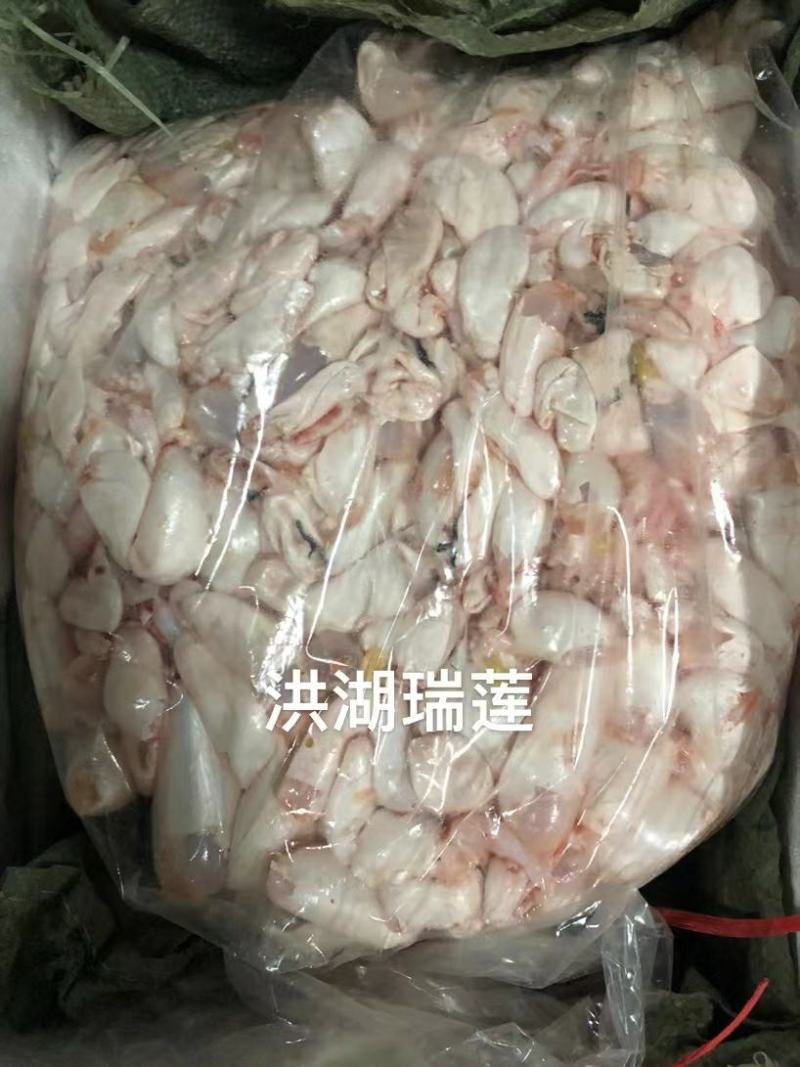 鱼泡鱼鳔胶破泡支持自提一条龙服务可实地考察