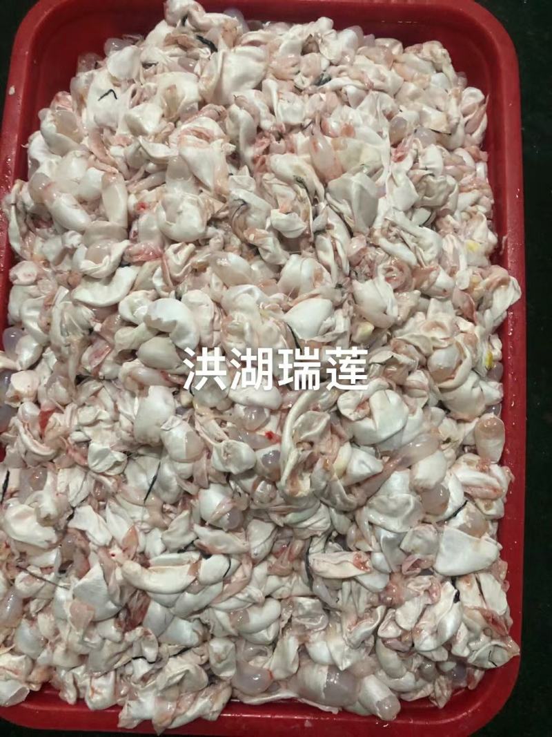 鱼泡鱼鳔胶破泡支持自提一条龙服务可实地考察