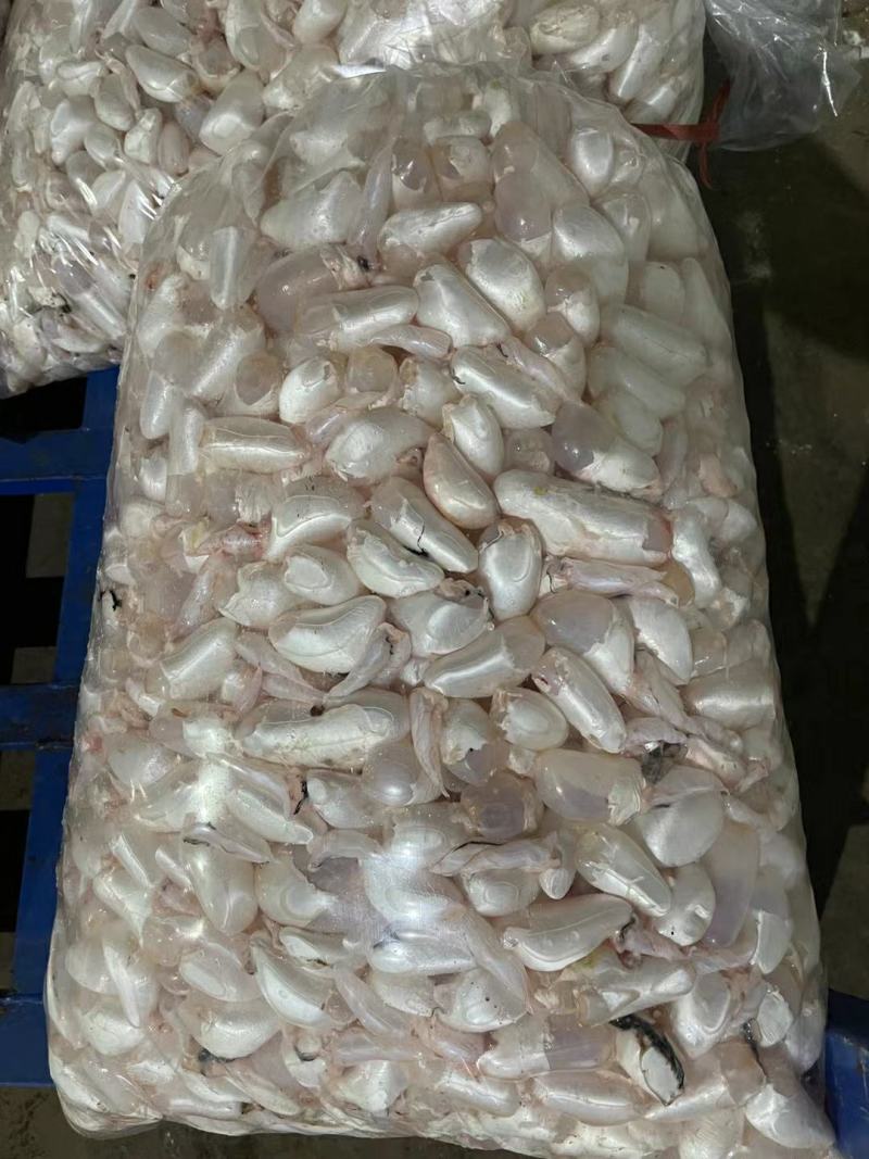 白鲢鱼泡鱼肚鱼鳔全国发货质量保证欢迎下单