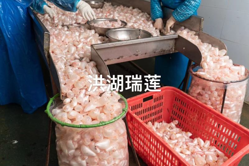 白鲢鱼泡鱼肚鱼鳔全国发货质量保证欢迎下单