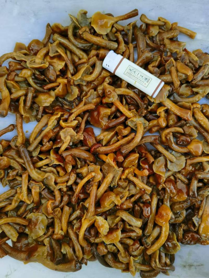 河北滑子菇干货大量供应，视频看货，对接商超市场电商
