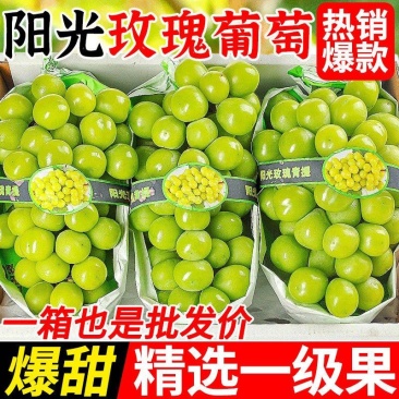 阳光玫瑰整串晴王葡萄新鲜当季水果青提无籽提子香印一整箱批