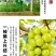 阳光玫瑰整串晴王葡萄新鲜当季水果青提无籽提子香印一整箱批