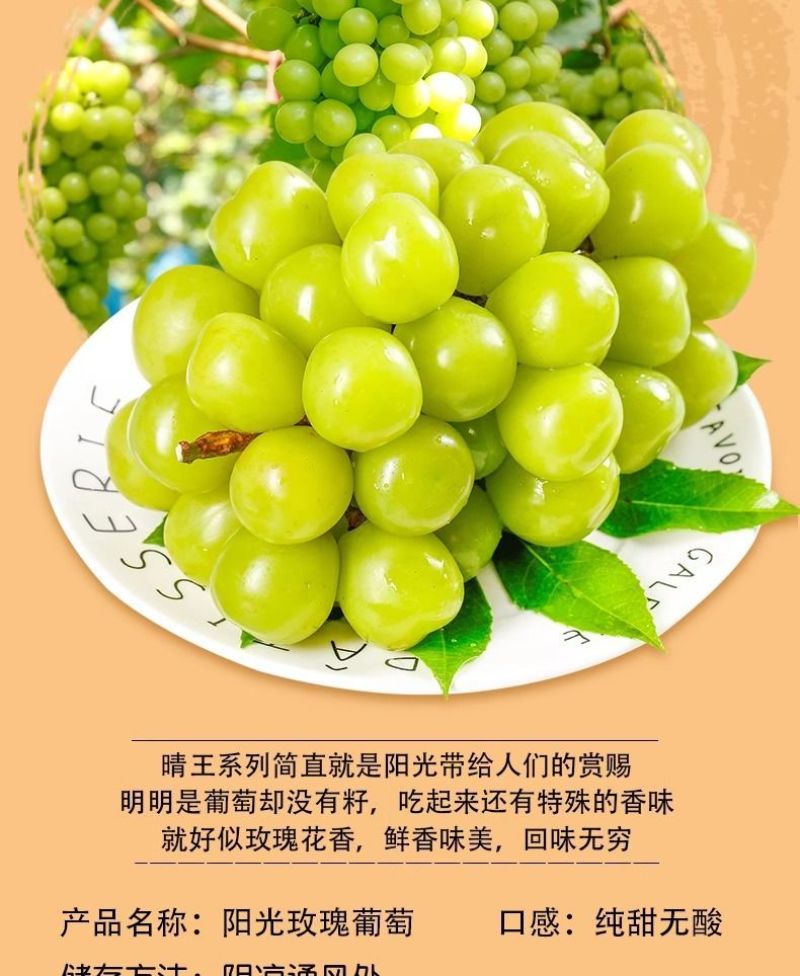阳光玫瑰整串晴王葡萄新鲜当季水果青提无籽提子香印一整箱批