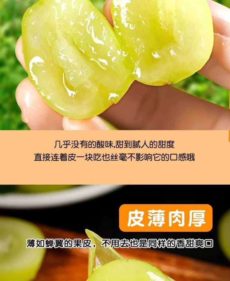 阳光玫瑰整串晴王葡萄新鲜当季水果青提无籽提子香印一整箱批