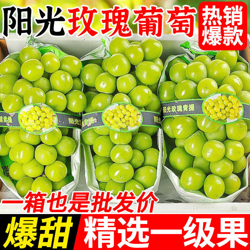 阳光玫瑰整串晴王葡萄新鲜当季水果青提无籽提子香印一整箱批