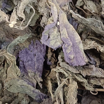 紫苏叶紫苏梗紫苏子
