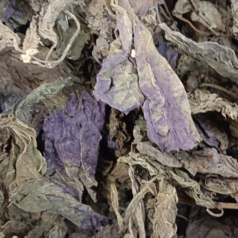 紫苏叶紫苏梗紫苏子