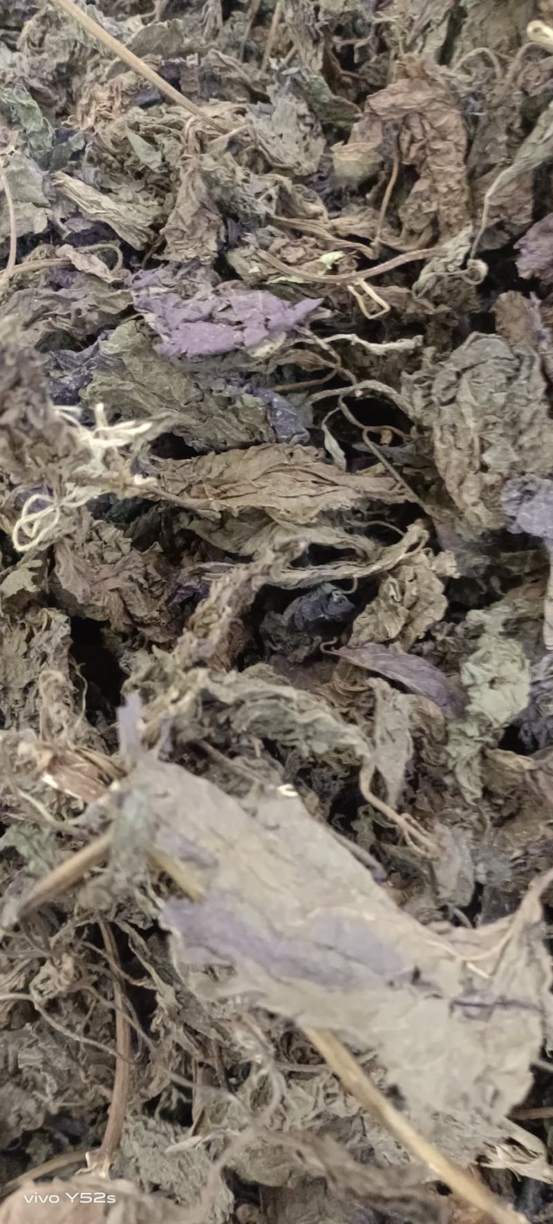 紫苏叶紫苏梗紫苏子