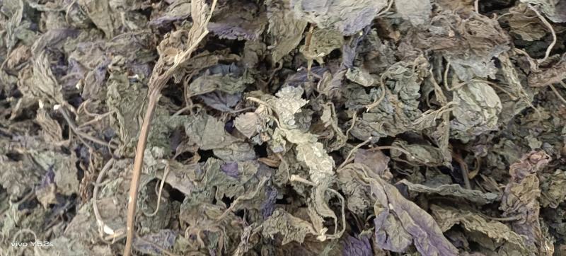 紫苏叶紫苏梗紫苏子