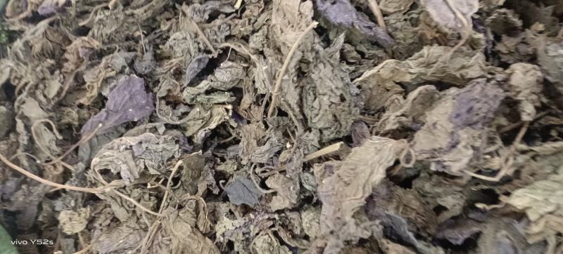 紫苏叶紫苏梗紫苏子