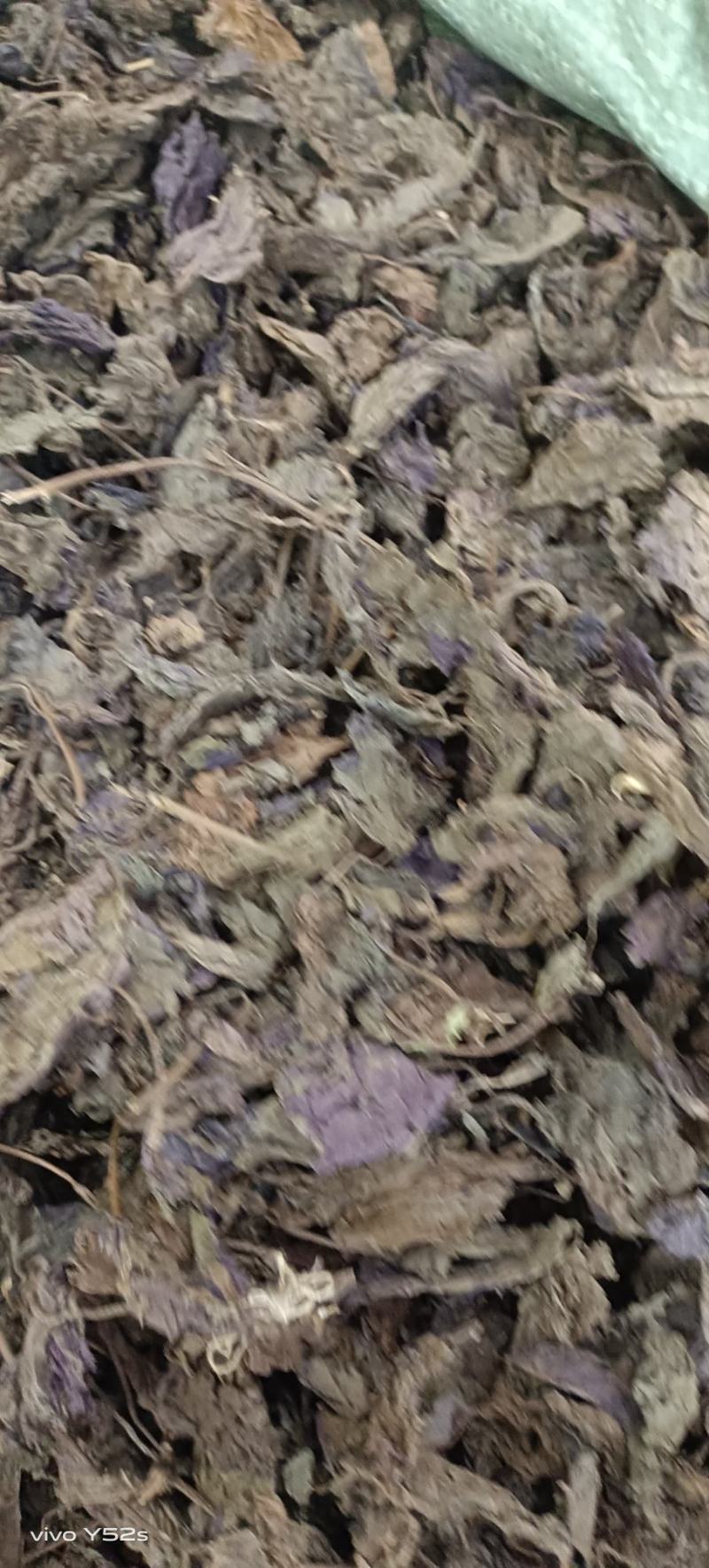 紫苏叶紫苏梗紫苏子