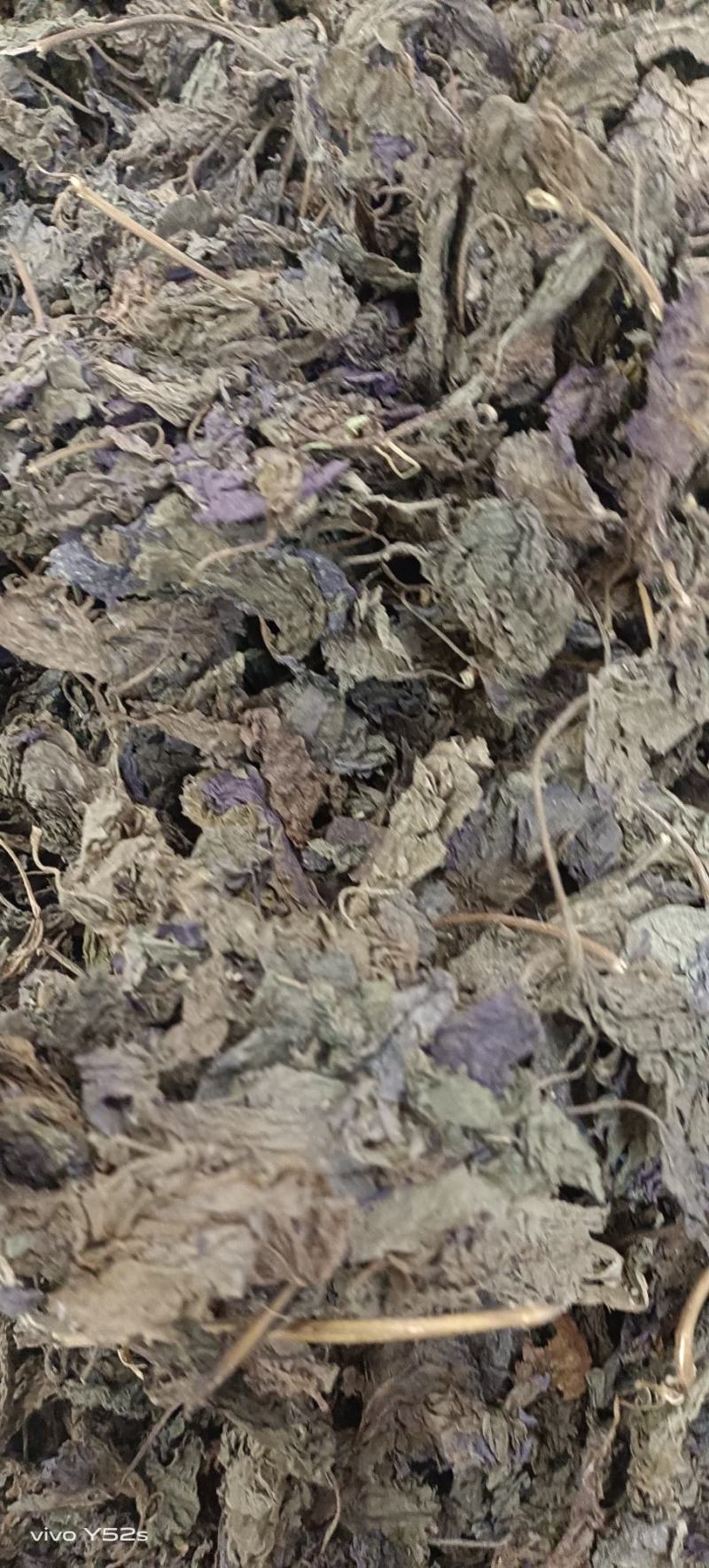 紫苏叶紫苏梗紫苏子