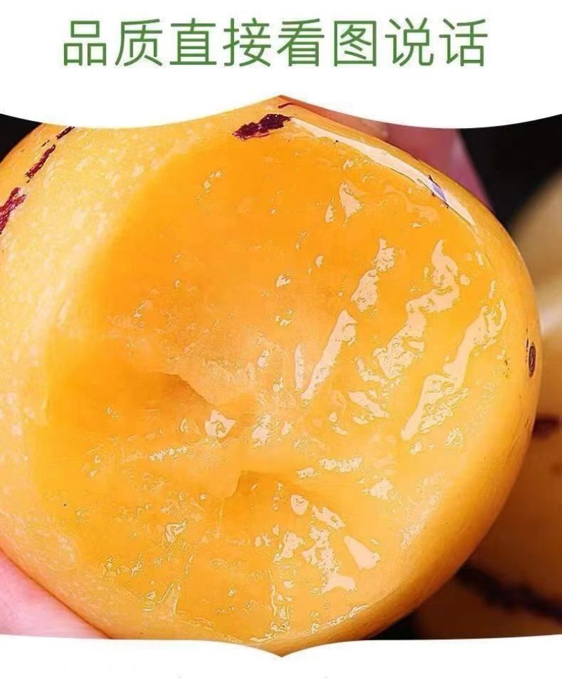 云南树上熟黄肉圆果云南石林人参果新鲜应季大果超甜水果整箱