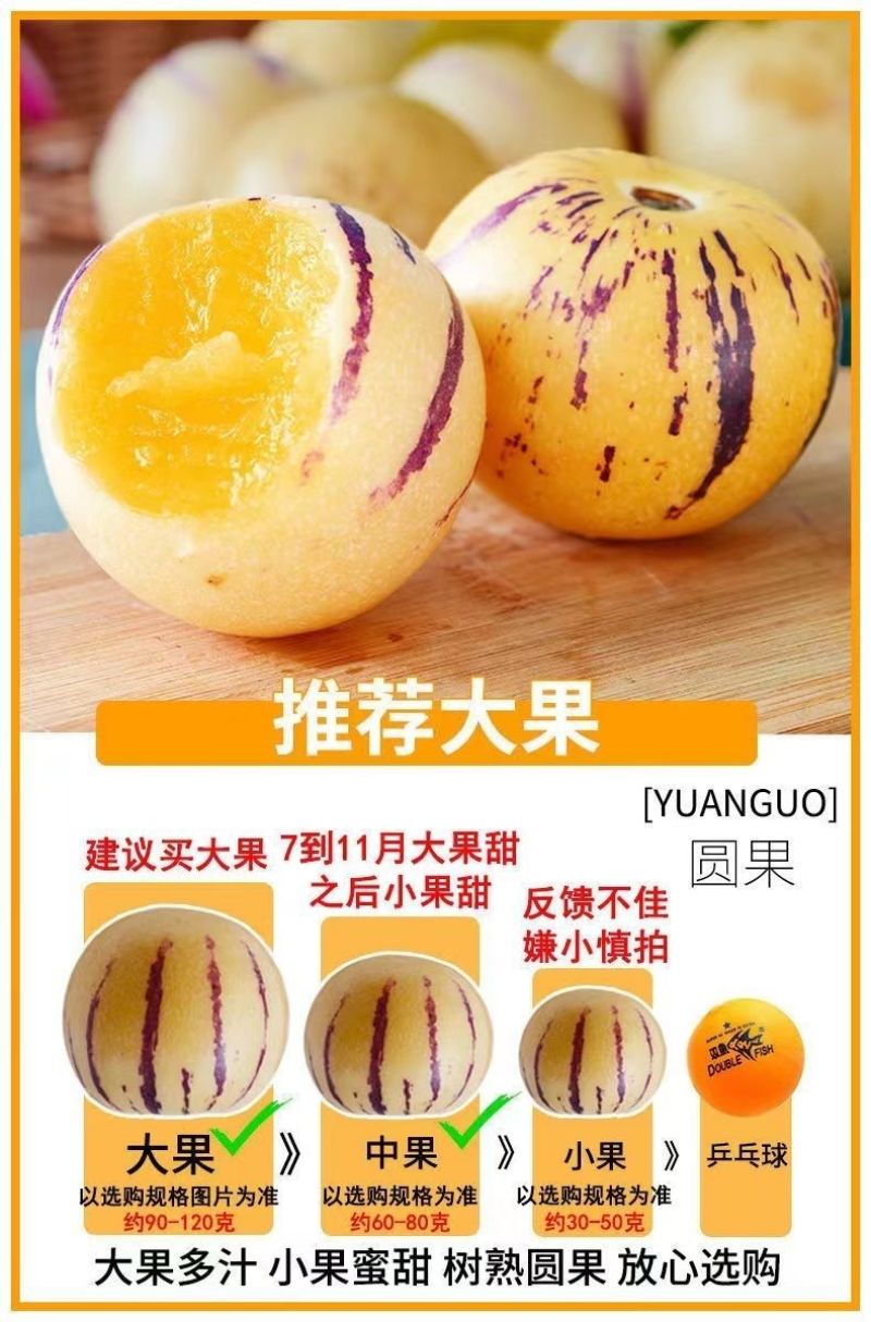 云南树上熟黄肉圆果云南石林人参果新鲜应季大果超甜水果整箱