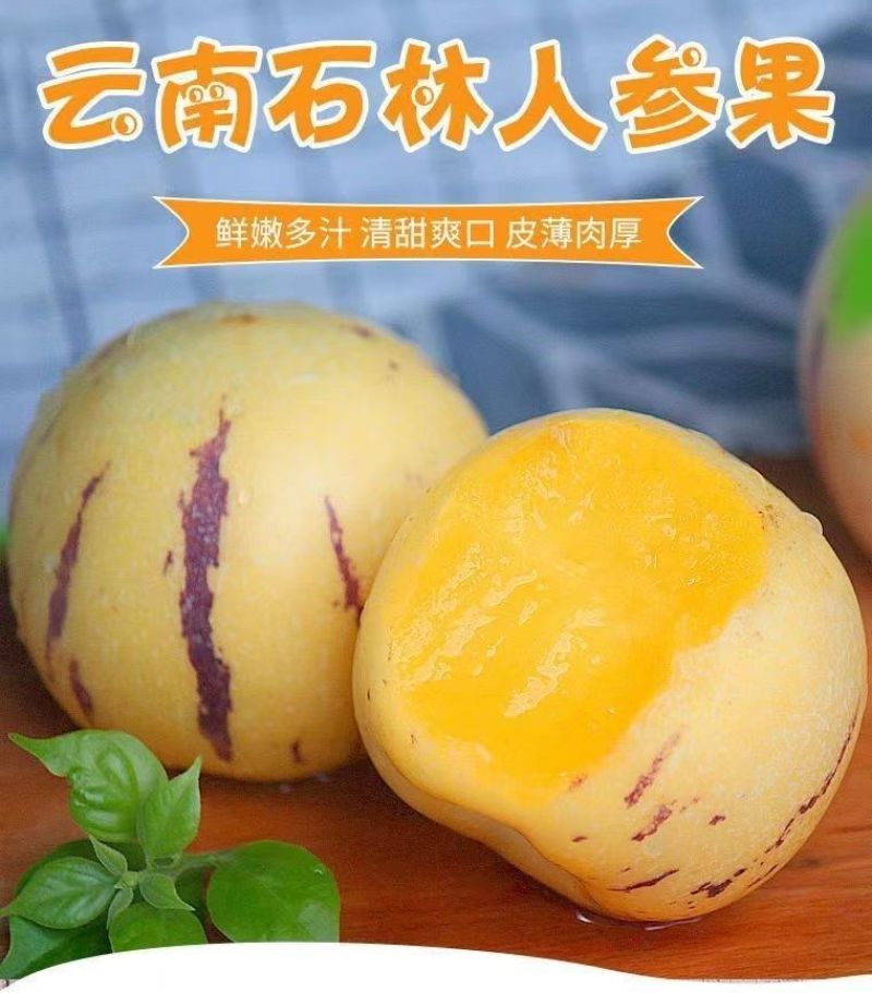 云南树上熟黄肉圆果云南石林人参果新鲜应季大果超甜水果整箱