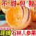 云南树上熟黄肉圆果云南石林人参果新鲜应季大果超甜水果整箱