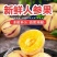 云南树上熟黄肉圆果云南石林人参果新鲜应季大果超甜水果整箱