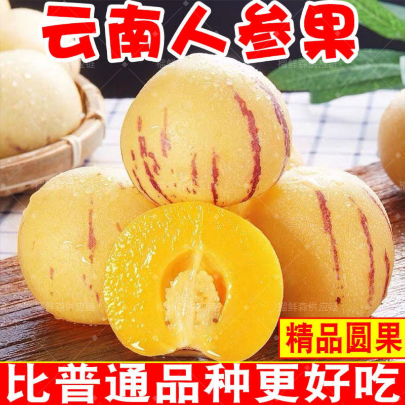 云南树上熟黄肉圆果云南石林人参果新鲜应季大果超甜水果整箱