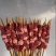 每天大量出货鲜羊肉串，电商平台，社区团购优选商品