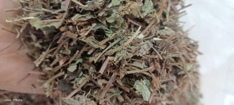 金钱草四川金钱草，广西金钱草