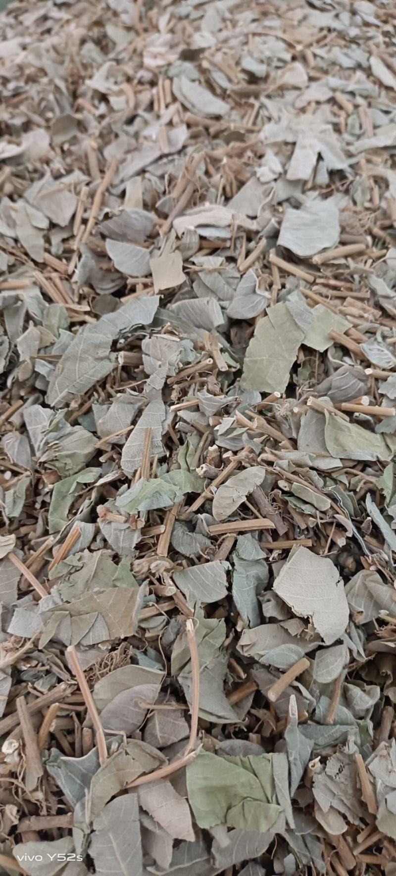 金钱草四川金钱草，广西金钱草