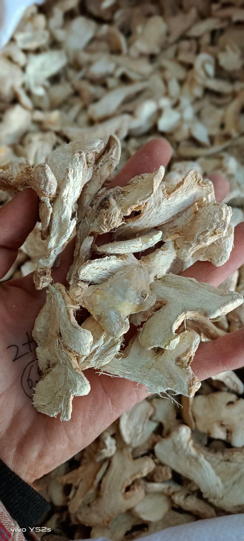 干姜干姜个干姜片，泡姜各种规格的都有货