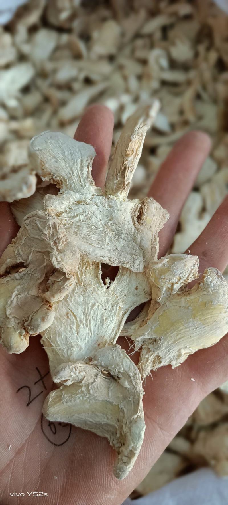 干姜干姜个干姜片，泡姜各种规格的都有货