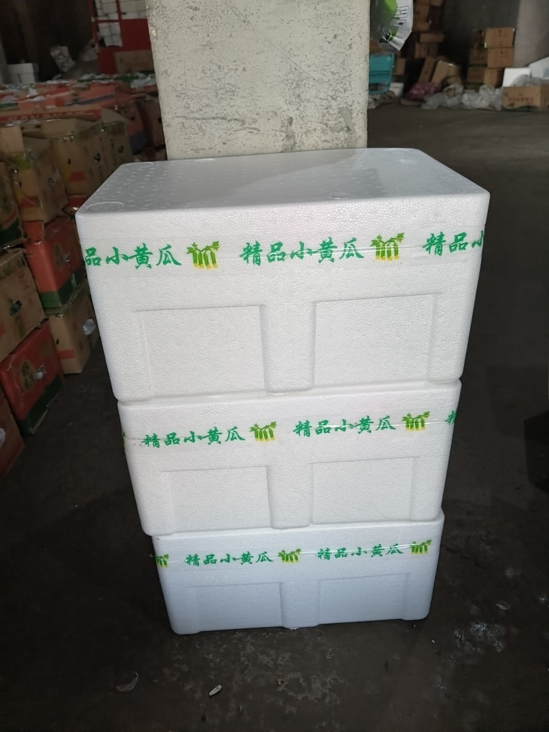 水果黄瓜产地直销量大质优价格优惠欢迎各大老板采购咨询