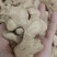 干姜干姜个干姜片，泡姜各种规格的都有货