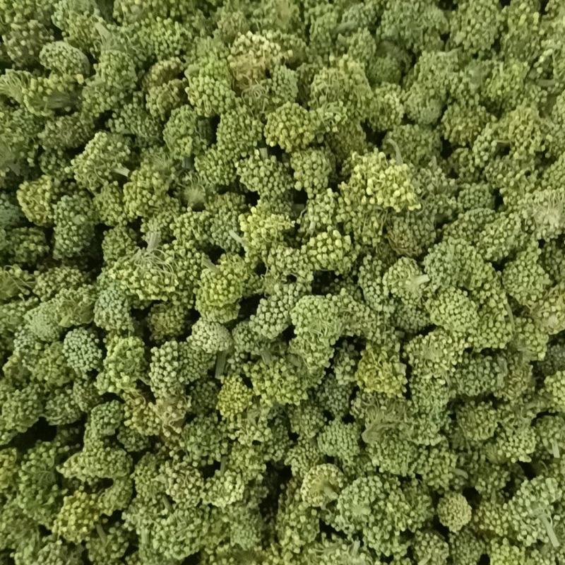 三七花各种规格有货常年经营大货批发产地直发实物拍摄