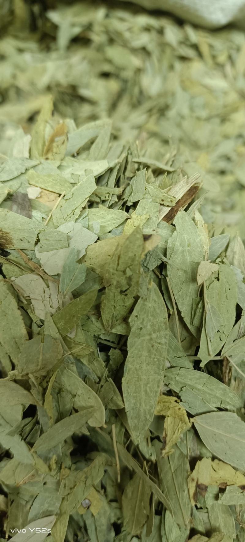 番泻叶各种中草药一起批发需要的老板可以直接下单