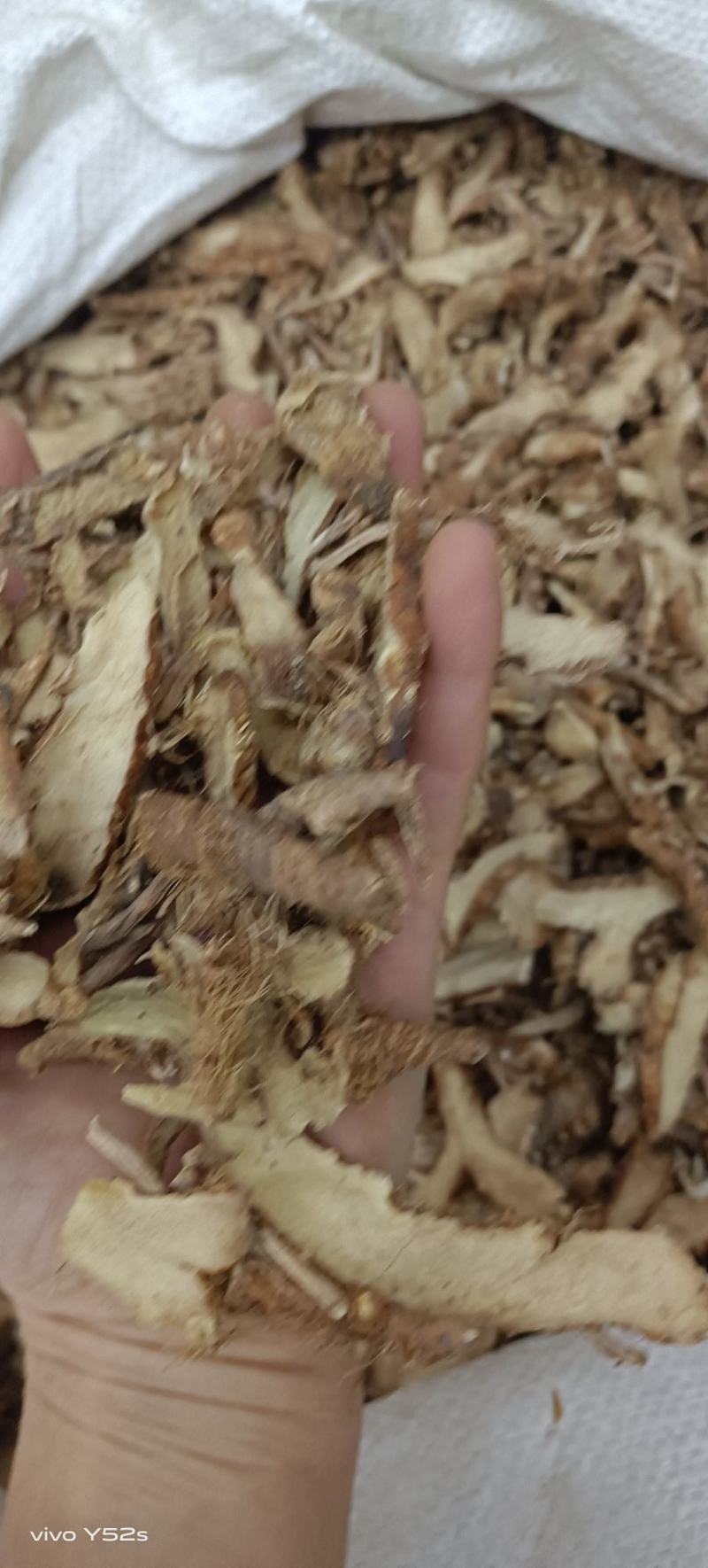知母各种中药材名贵药材冷背药材几千个中药材品种供选择