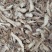 知母各种中药材名贵药材冷背药材几千个中药材品种供选择
