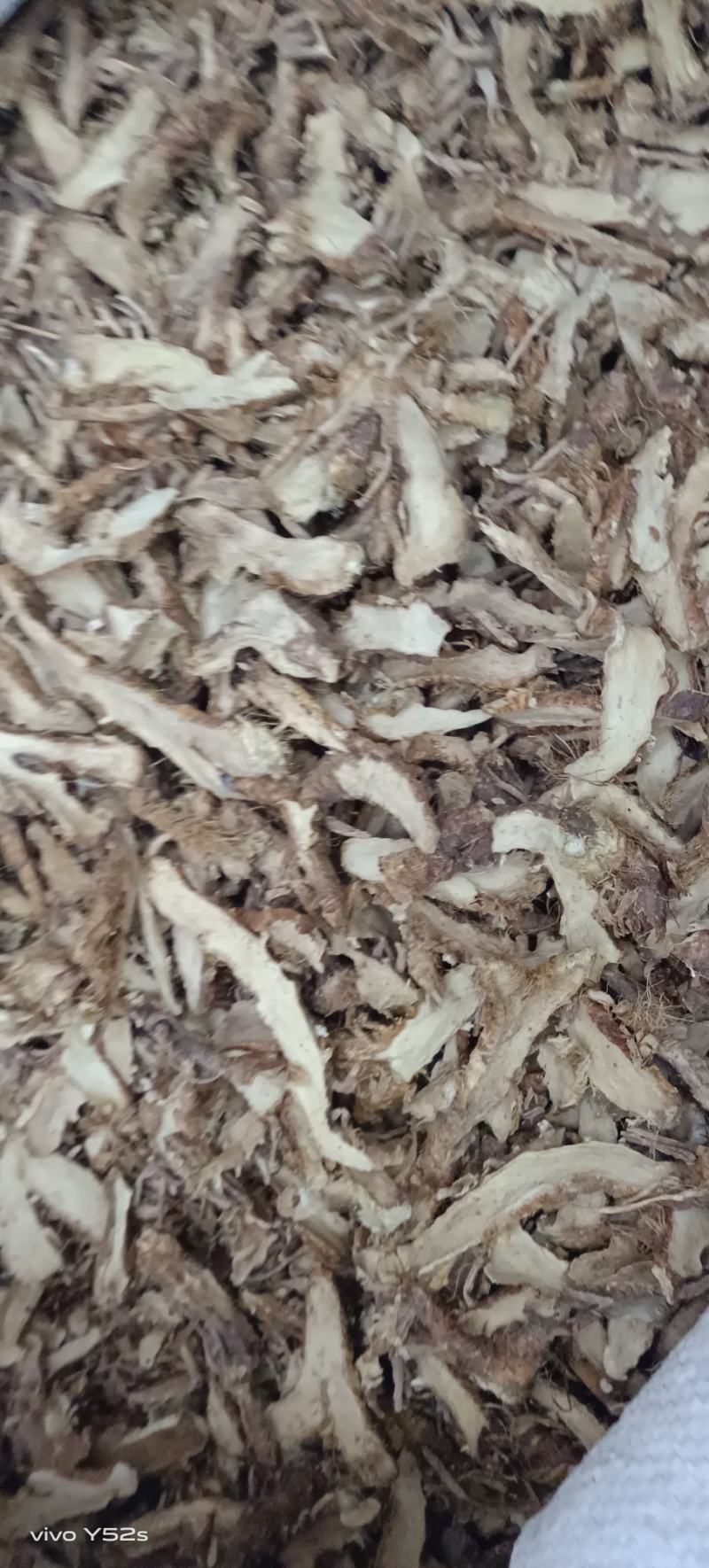 知母各种中药材名贵药材冷背药材几千个中药材品种供选择