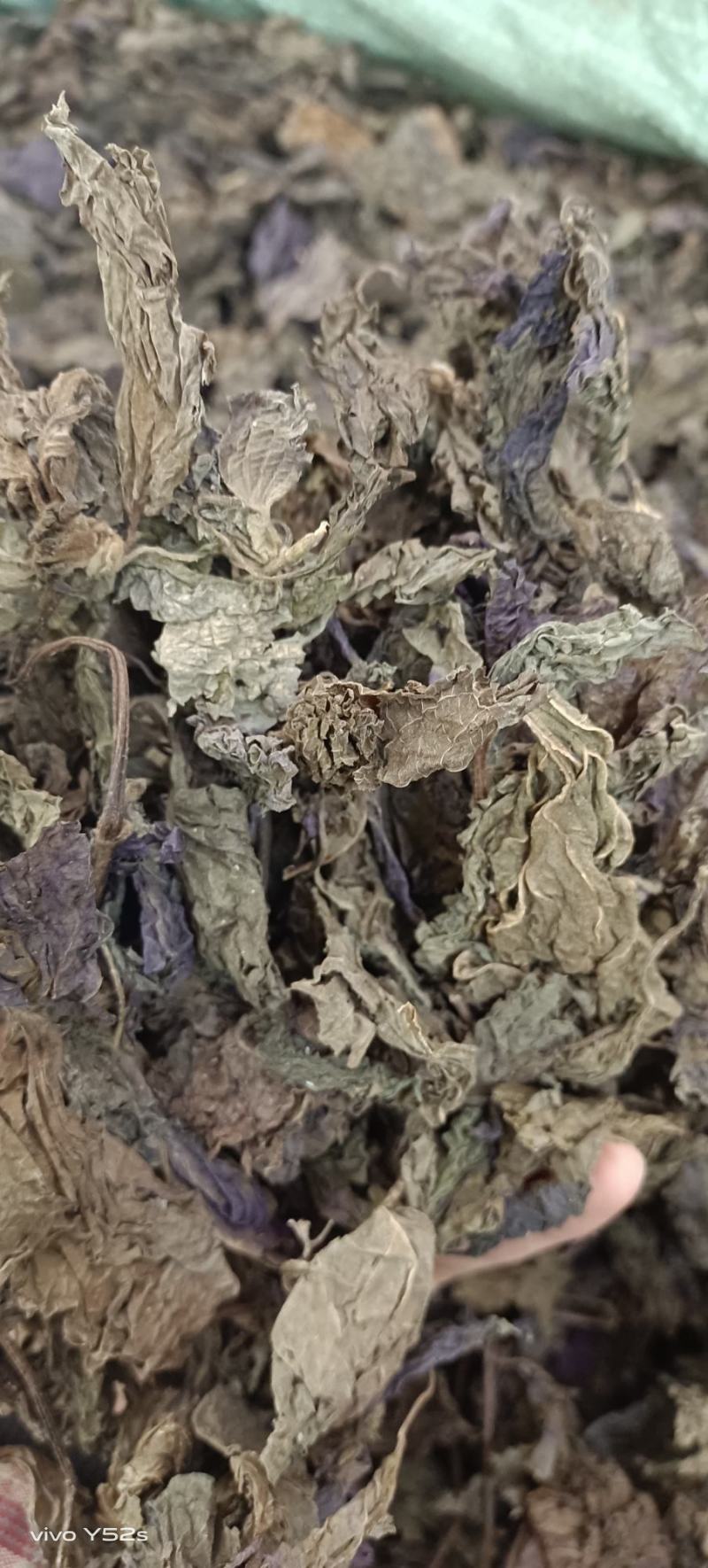 紫苏叶紫苏梗，紫苏子，各种中药材批发