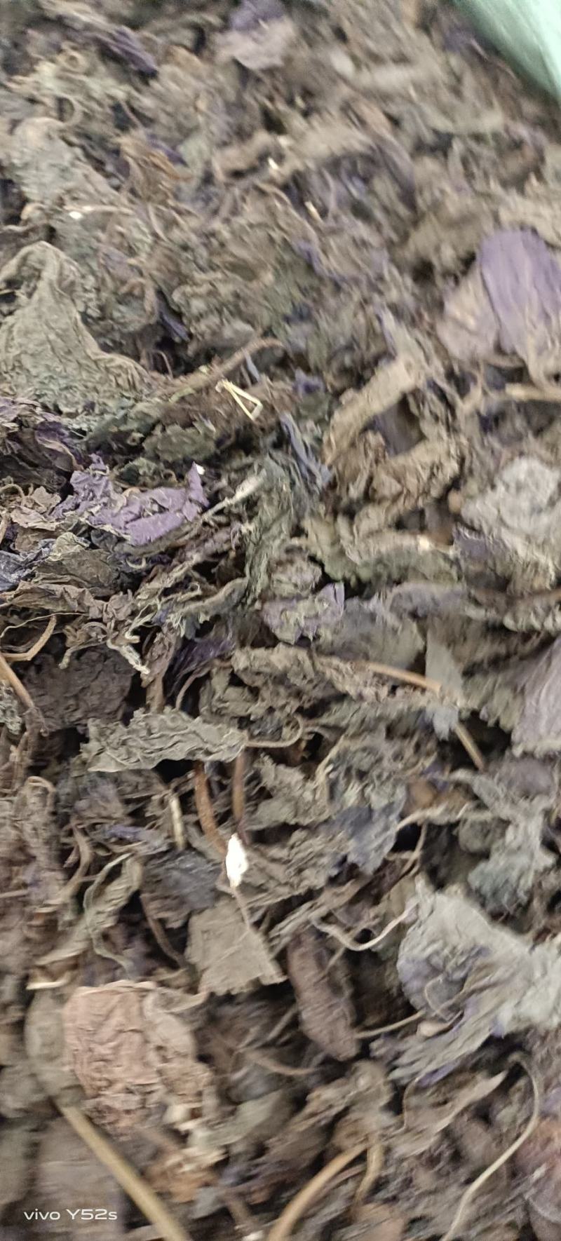 紫苏叶紫苏梗，紫苏子，各种中药材批发