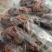 陕西省韩城市小时农家老树柿饼开始接单了，可批发，量大从优